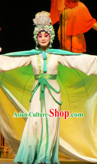 Chinese Sichuan Opera Ghost Red Plum Li Huiniang Garment Costumes and Hair Accessories Traditional Peking Opera Actress Dress Hua Tan Apparels