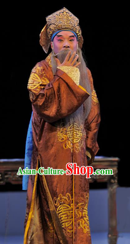 Xue Baochai Chinese Sichuan Opera Elderly Male Apparels Costumes and Headpieces Peking Opera Laosheng Garment Landlord Clothing