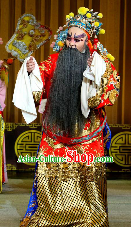 Jin Dian Shen La Chinese Sichuan Opera Minister Apparels Costumes and Headpieces Peking Opera Laosheng Garment Elderly Male Official Clothing