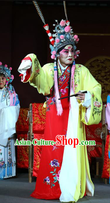Chu Gong Hui Chinese Sichuan Opera Prince Jian Apparels Costumes and Headpieces Peking Opera Xiaosheng Garment Young Male Clothing