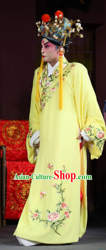 Return of the Phoenix Chinese Sichuan Opera Young Male Apparels Costumes and Headpieces Peking Opera Xiaosheng Garment Clothing