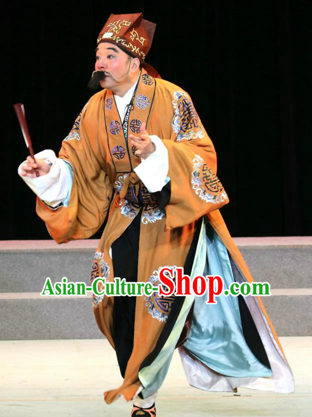 Zhuo Wenjun Chinese Sichuan Opera Minister Zhuo Wangsun Apparels Costumes and Headpieces Peking Opera Official Garment Laosheng Clothing