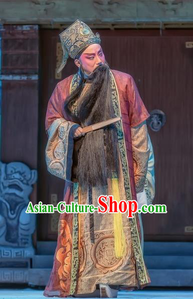 Bao En Ji Chinese Sichuan Opera Prefect Wen Datong Apparels Costumes and Headpieces Peking Opera Elderly Male Garment Laosheng Clothing