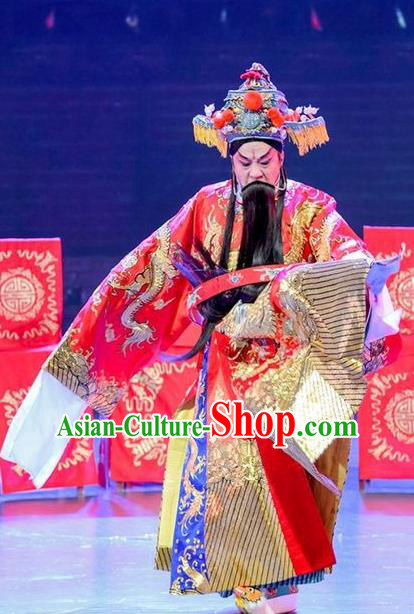 Yuan Men Zhan Zi Chinese Sichuan Opera Laosheng Apparels Costumes and Headpieces Peking Opera Elderly Male Garment Marshal Yang Yanzhao Clothing