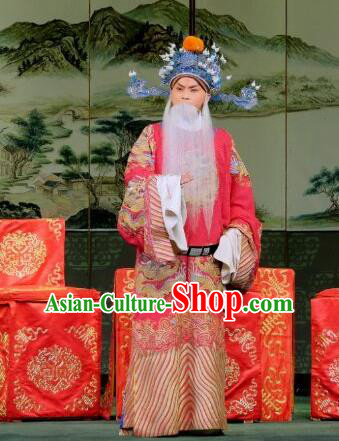 Yu Bei Pavilion Chinese Peking Opera Old Minister Garment Costumes and Headwear Beijing Opera Laosheng Apparels Elderly Official Clothing