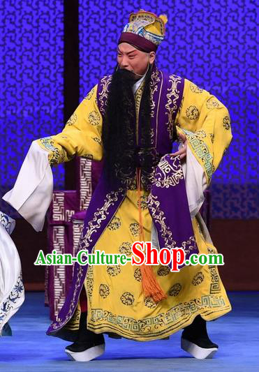 Luo Cheng Chinese Peking Opera Laosheng Garment Costumes and Headwear Beijing Opera Elderly Male Apparels Emperor Li Yuan Clothing