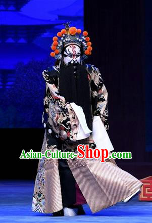 Chinese Peking Opera General Luo Cheng Garment Costumes and Headwear Beijing Opera Elderly Male Apparels Clothing Python Embroidered Robe