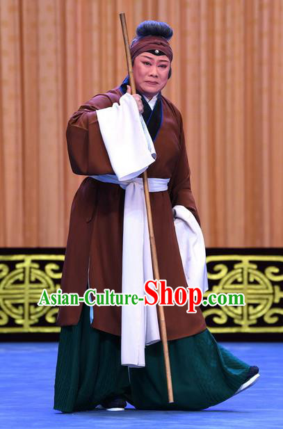 Chinese Beijing Opera Pantaloon Apparels Costumes and Headpieces Gold Turtle Fishing Traditional Peking Opera Laodan Dress Garment