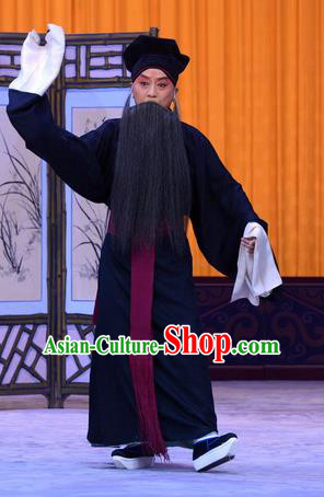 Sister Thirteen Chinese Peking Opera Laosheng An Xuehai Garment Costumes and Headwear Beijing Opera Apparels Elderly Male Clothing