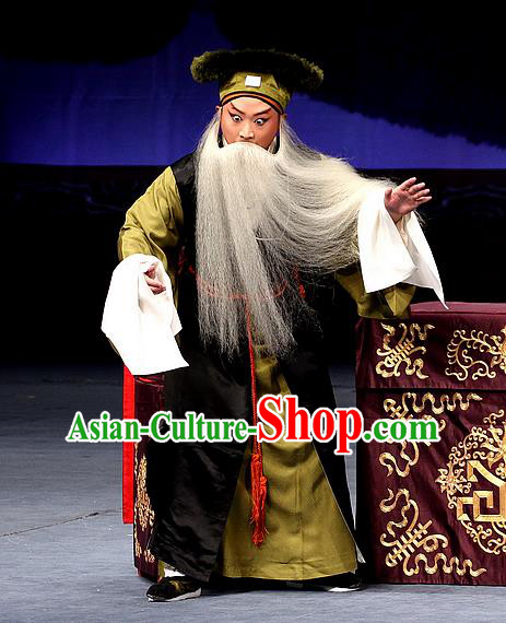 Sacrifice Zhao Shi Gu Er Chinese Peking Opera Gongsun Chujiu Garment Costumes and Headwear Beijing Opera Laosheng Apparels Clothing