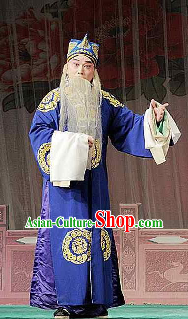 Sacrifice Zhao Shi Gu Er Chinese Peking Opera Old Male Cheng Ying Garment Costumes and Headwear Beijing Opera Elderly Landlord Apparels Clothing