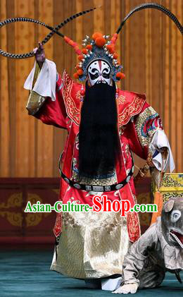 Sacrifice Zhao Shi Gu Er Chinese Peking Opera Elderly Male Garment Costumes and Headwear Beijing Opera Laosheng King Apparels Old Man Clothing