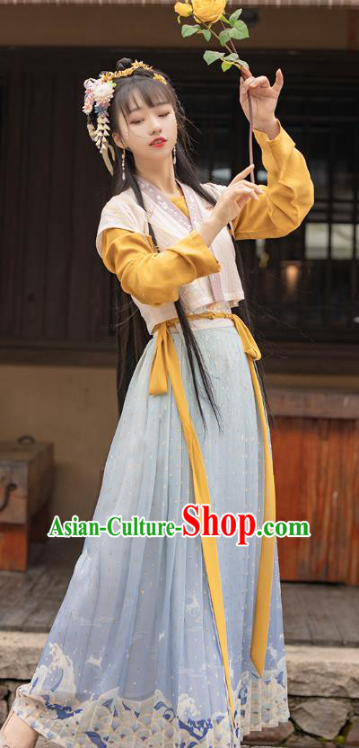 Traditional Chinese Ancient Ming Dynasty Young Lady Apparels Historical Costumes Village Girl Embroidered Hanfu Dress