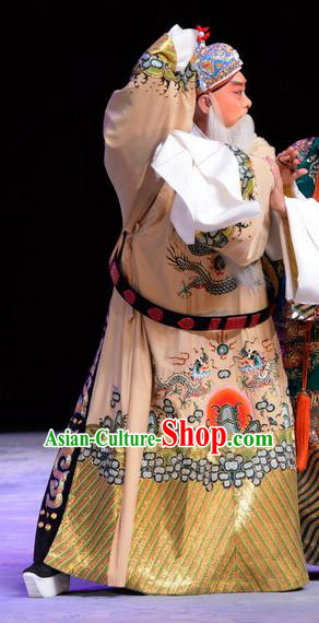 Chu Palace Hen Chinese Peking Opera Elderly Male Garment Costumes and Headwear Beijing Opera Official Wu She Apparels Clothing