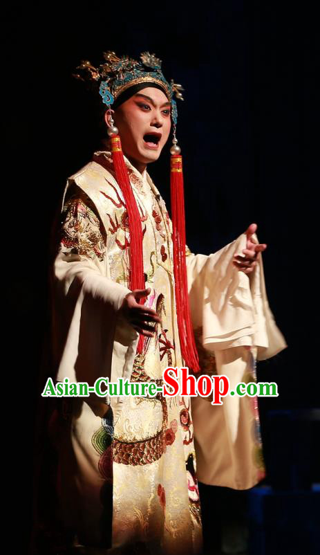 Zhen Guan Flourishing Age Chinese Peking Opera Xiaosheng Garment Costumes and Headwear Beijing Opera Apparels Clothing Emperor Li Shimin Embroidered Robe