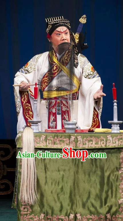 Qing Shi Mountain Chinese Peking Opera Laosheng Elderly Male Garment Costumes and Headwear Beijing Opera Taoist Lv Dongbin Apparels Clothing