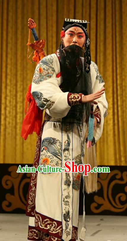 Qing Shi Mountain Chinese Peking Opera Immortal Garment Costumes and Headwear Beijing Opera Taoist Lv Dongbin Apparels Elderly Male Clothing