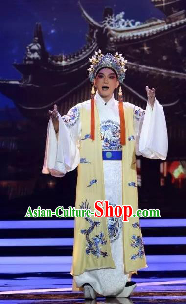 Zhen Guan Flourishing Age Chinese Peking Opera Emperor Li Shimin Garment Costumes and Headwear Beijing Opera Young Male Clothing Xiaosheng Apparels