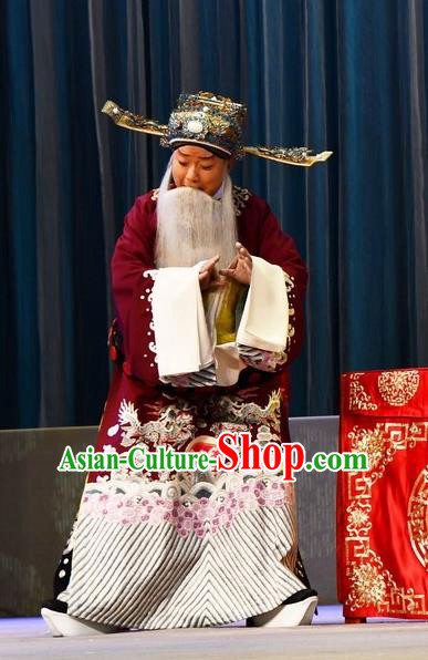 A Honey Trap Chinese Peking Opera Old Minister Garment Costumes and Headwear Beijing Opera Apparels Elderly Male Official Clothing