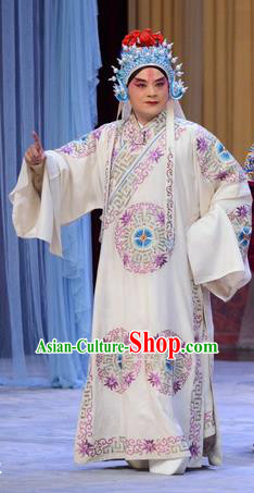 Number One Scholar Matchmaker Chinese Peking Opera Takefu Garment Costumes and Headwear Beijing Opera Wusheng Apparels Martial Male Yang Yanzhao Clothing