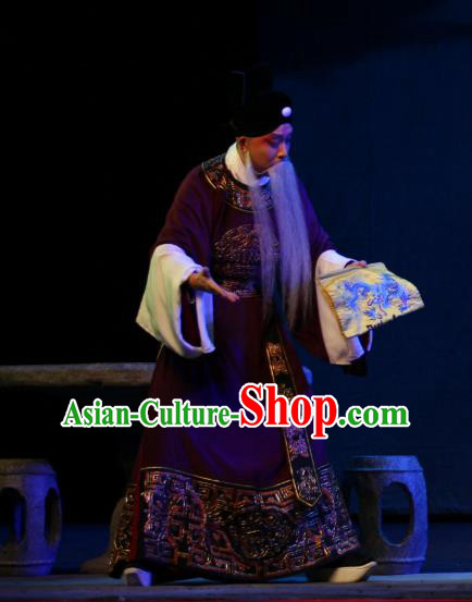 Da Meng Chang Ge Chinese Peking Opera Official Garment Costumes and Headwear Beijing Opera Laosheng Elderly Male Xin Qiji Apparels Clothing