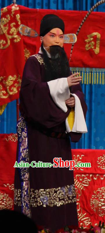 Qun Jie Hua Chinese Peking Opera Laosheng Elderly Male Garment Costumes and Headwear Beijing Opera Apparels Official Clothing