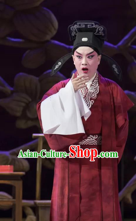 Qing Si Hen Chinese Peking Opera Young Male Garment Costumes and Headwear Beijing Opera Xiaosheng Apparels Scholar Wang Kui Clothing