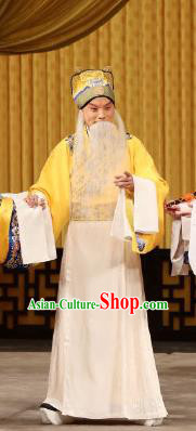 Tun Wu Hen Chinese Peking Opera Lord Liu Bei Garment Costumes and Headwear Beijing Opera Laosheng Apparels Elderly Male Clothing