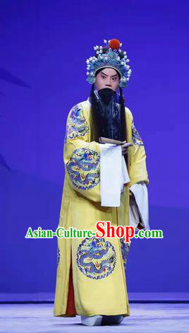 Han Ming Fei Chinese Peking Opera Emperor Yuan Garment Costumes and Headwear Beijing Opera Laosheng Apparels King Elderly Male Clothing