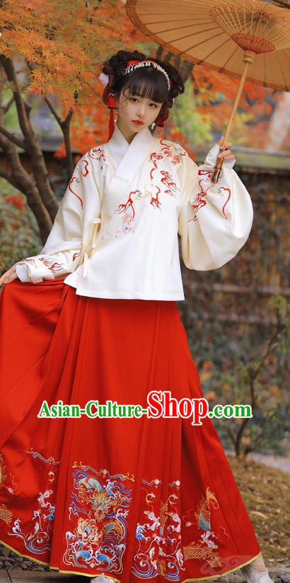 Chinese Ancient Nobility Lady Historical Costumes Ming Dynasty Garment Traditional Embroidered Hanfu Dress