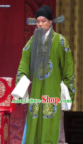 Jin Yunu Chinese Bangzi Opera Landlord Apparels Costumes and Headpieces Traditional Hebei Clapper Opera Laosheng Garment Official Lin Run Clothing
