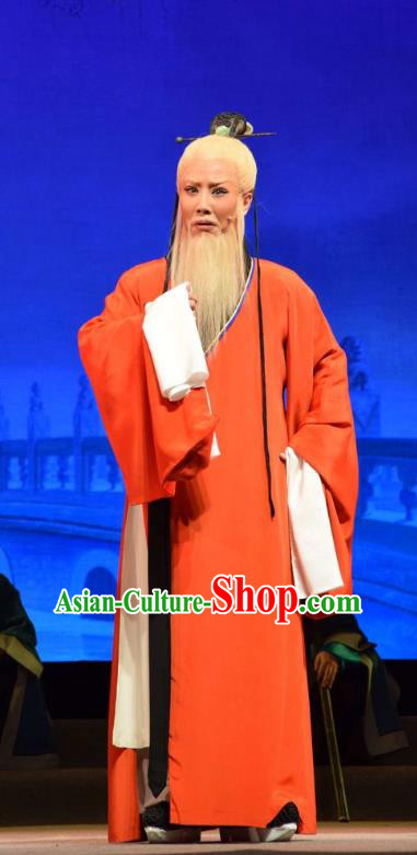 Fu Shan Jin Jing Chinese Shanxi Opera Laosheng Apparels Costumes and Headpieces Traditional Jin Opera Old Man Garment Elderly Scholar Clothing