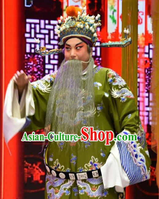 Palm Civet for Prince Chinese Shanxi Opera Elderly Male Apparels Costumes and Headpieces Traditional Jin Opera Official Garment Minister Clothing