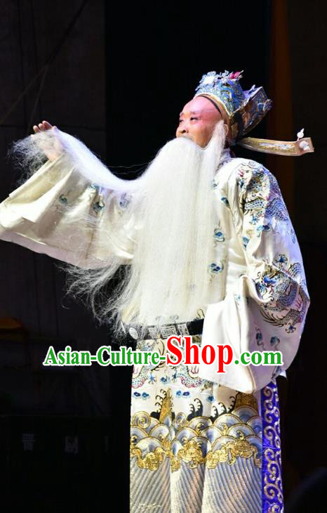 Fifteen Strings of Cash Chinese Shanxi Opera Laosheng Apparels Costumes and Headpieces Traditional Jin Opera Elderly Male Garment Old Official Clothing