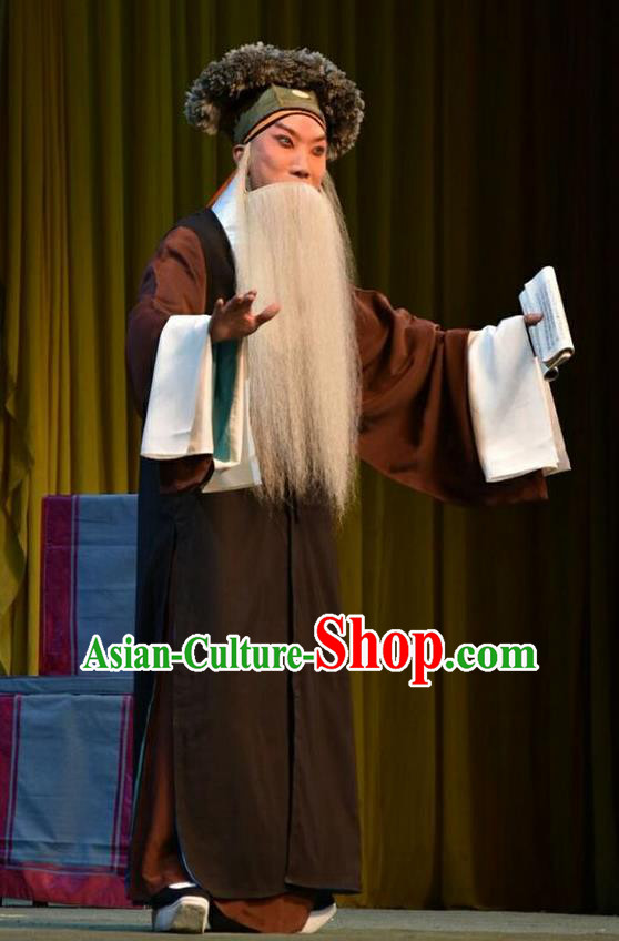 Sacrifice Chinese Shanxi Opera Elderly Male Apparels Costumes and Headpieces Traditional Jin Opera Old Scholar Garment Gongsun Chujiu Clothing