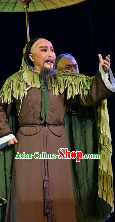 He Qing Hai Yan Chinese Shanxi Opera Qing Dynasty Official Apparels Costumes and Headpieces Traditional Jin Opera Elderly Male Li Yumei Garment Clothing