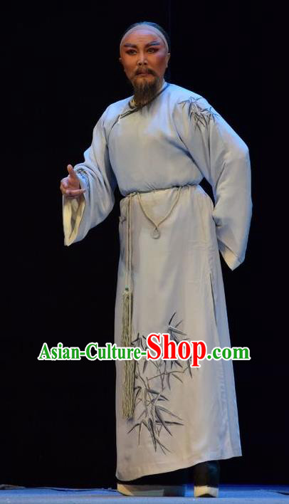 He Qing Hai Yan Chinese Shanxi Opera Qing Dynasty Elderly Male Apparels Costumes and Headpieces Traditional Jin Opera Garment Scholar Li Yumei Clothing