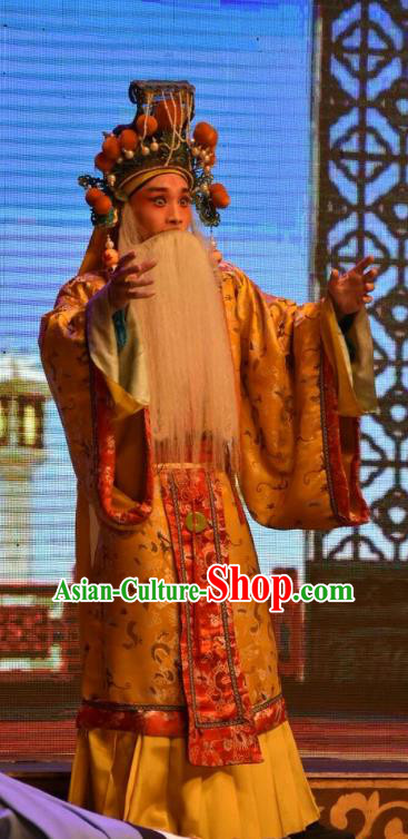 Shen Gong Qing Hun Chinese Shanxi Opera Old King Apparels Costumes and Headpieces Traditional Jin Opera Elderly Male Garment Lord Clothing