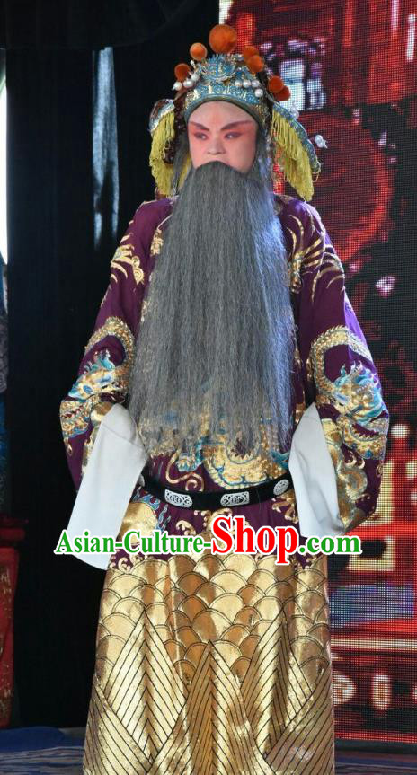 Long Hu Feng Yun Chinese Shanxi Opera Elderly Male Apparels Costumes and Headpieces Traditional Jin Opera Laosheng Garment Gao Huaide Clothing