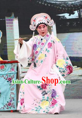 Shuang Luo Shan Chinese Shanxi Opera Young Male Apparels Costumes and Headpieces Traditional Jin Opera Xiaosheng Garment Scholar Xu Jizu Clothing