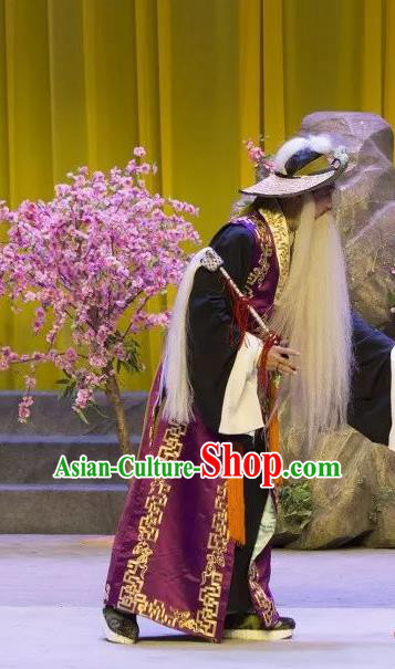 The Lotus Lantern Chinese Shanxi Opera Laosheng Apparels Costumes and Headpieces Traditional Jin Opera Taoist Garment Elderly Male Clothing