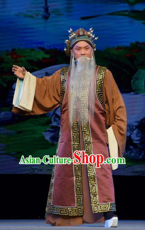 Big Feet Empress Chinese Shanxi Opera Landlord Apparels Costumes and Headpieces Traditional Jin Opera Laosheng Garment Elderly Male Clothing