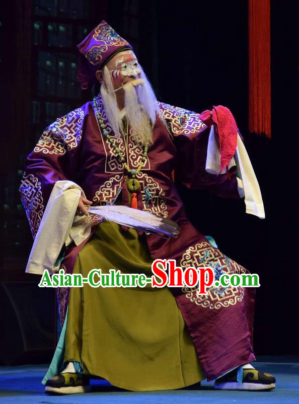 The Butterfly Chalice Chinese Shanxi Opera Ministry Councillor Apparels Costumes and Headpieces Traditional Jin Opera Elderly Male Garment Landlord Clothing