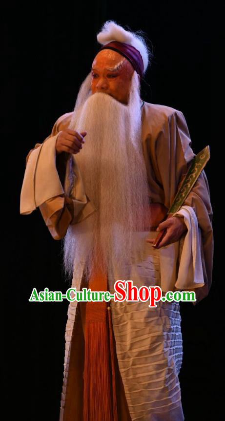 Wei Shui River Chinese Shanxi Opera Laosheng Apparels Costumes and Headpieces Traditional Jin Opera Elderly Male Garment Jiang Shang Clothing