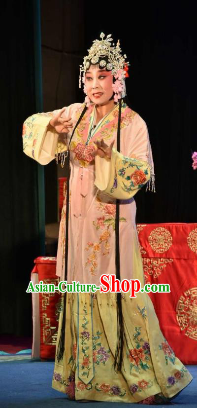 Chinese Clapper Opera Rich Lady Garment Costumes and Headdress The Crimson Palm Traditional Bangzi Opera Hua Tan Apparels Actress Wang Qianjin Dress