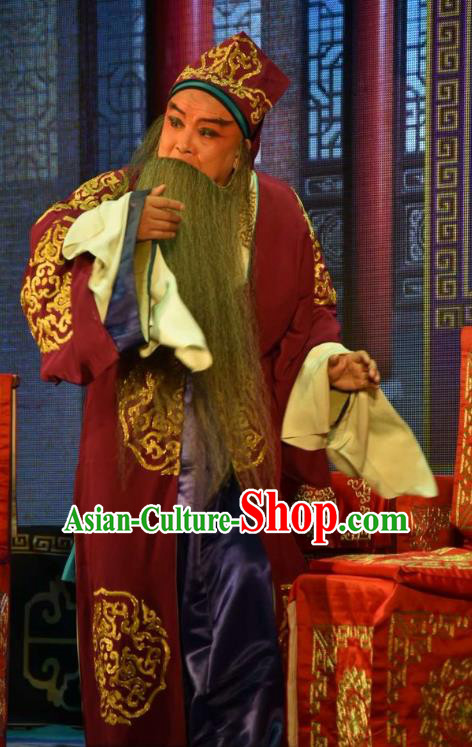 The Crimson Palm Chinese Bangzi Opera Landlord Wang Chun Apparels Costumes and Headpieces Traditional Clapper Opera Laosheng Garment Elderly Male Clothing