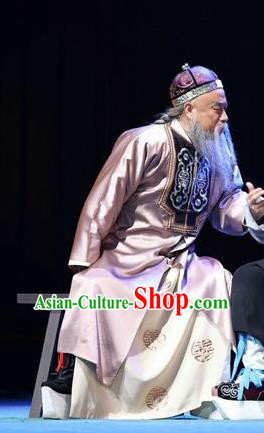 You Bai Chuan Chinese Lu Opera Laosheng Apparels Costumes and Headpieces Traditional Shandong Opera Weng Tonghe Garment Elderly Male Clothing