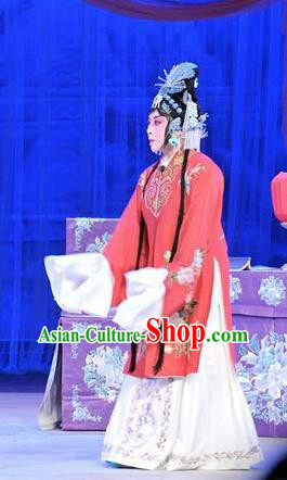 Chinese Shandong Opera Actress Garment Costumes and Headdress Forced Marriage Traditional Lu Opera Hua Tan Apparels Diva Hong Meirong Red Dress