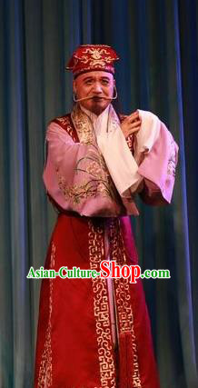 Forced Marriage Chinese Lu Opera Elderly Man Apparels Costumes and Headpieces Traditional Shandong Opera Clown Garment Adviser Clothing