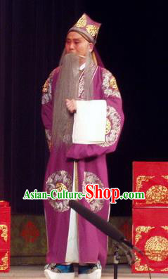 The Romance of Hairpin Chinese Qu Opera Laosheng Apparels Costumes and Headpieces Traditional Henan Opera Elderly Male Garment Landlord Qian Liuxing Clothing